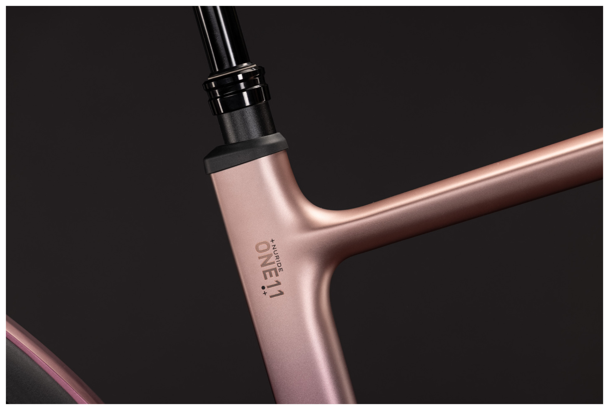 IMG1016774_103694