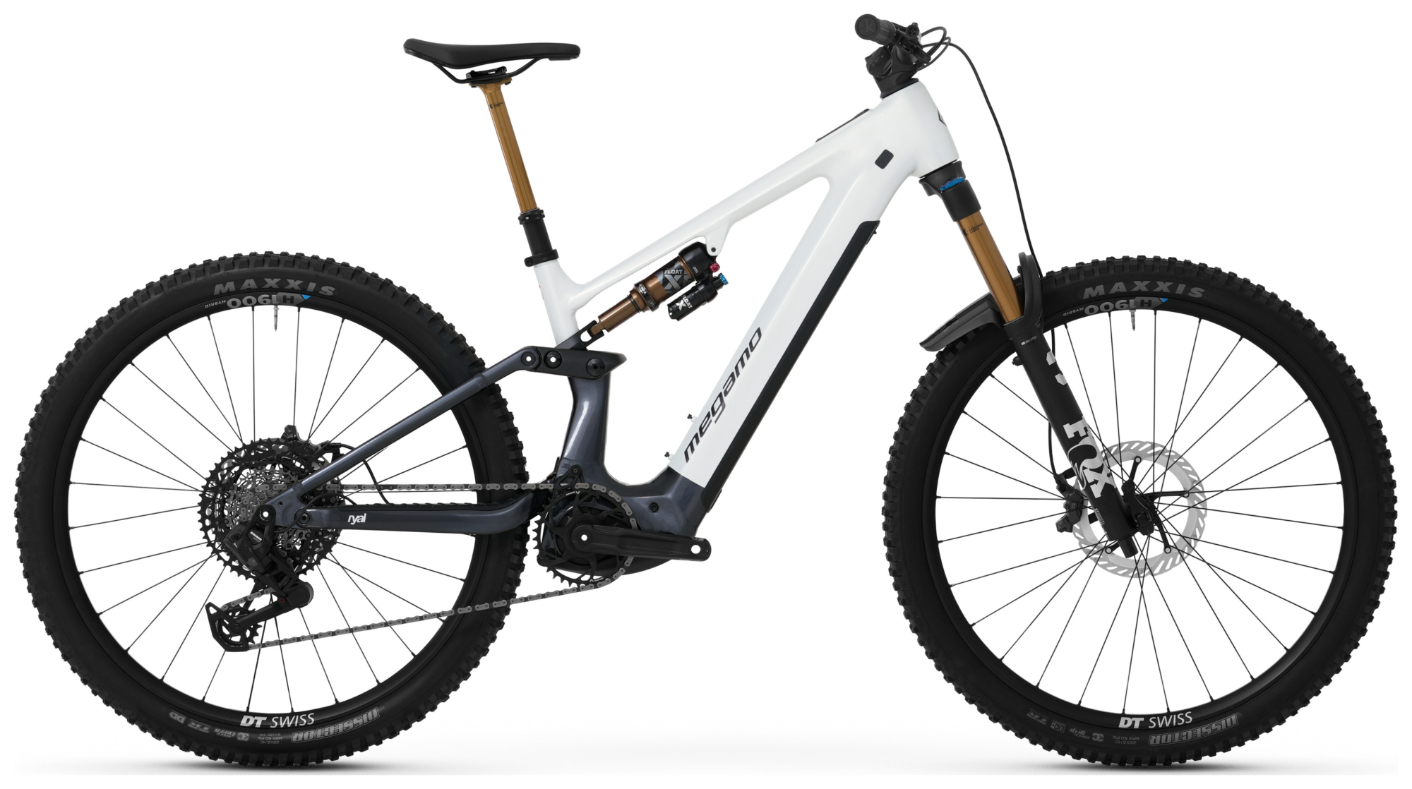 IMG1020674_116174