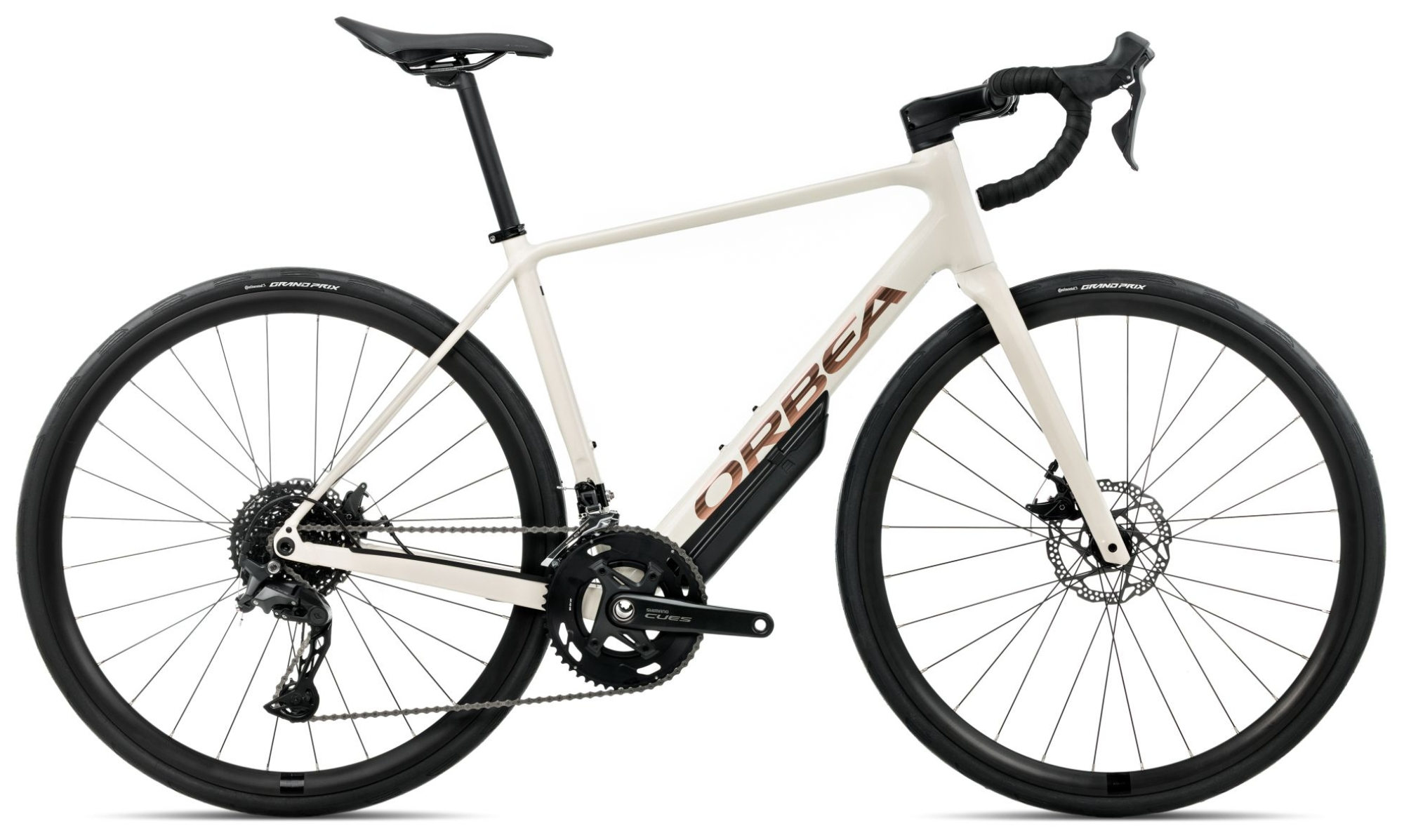 IMG1005890_77671