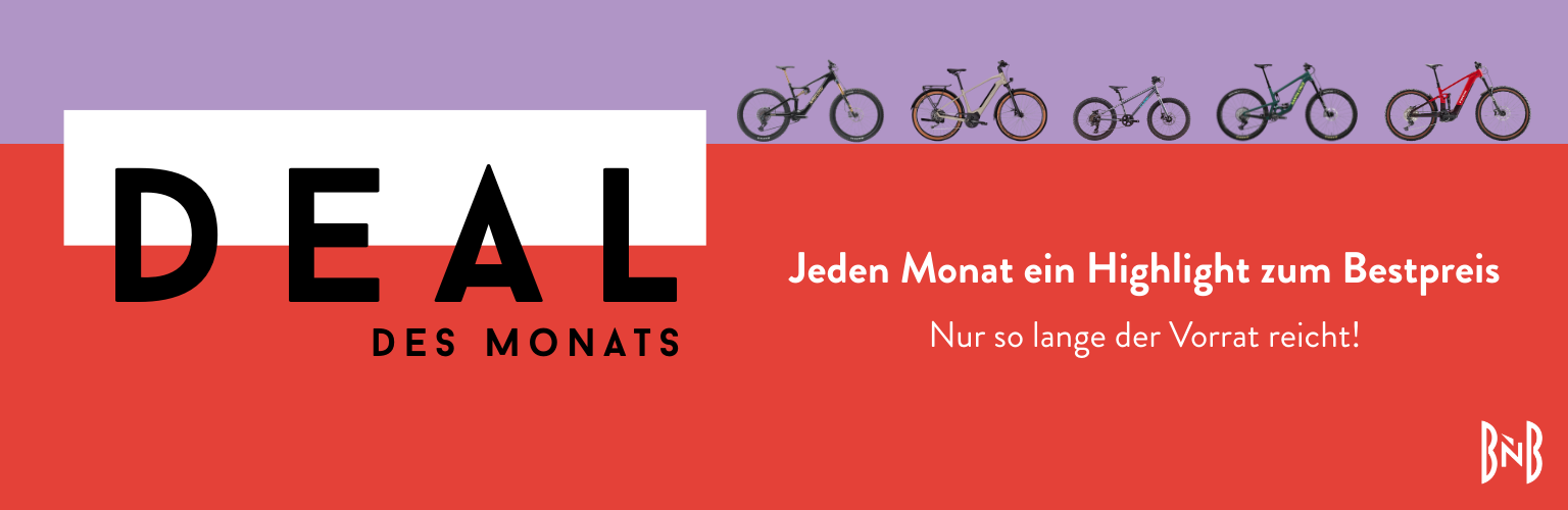 Deal des Monats Banner 768 x 250 px