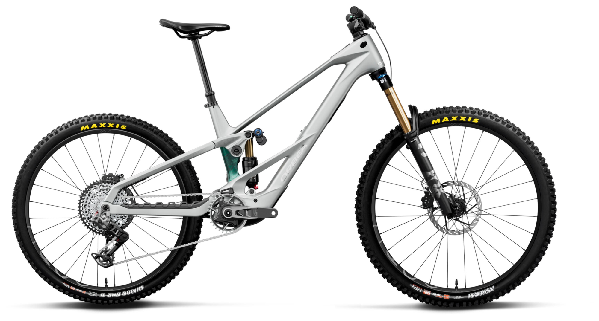 WILD LT M-TEAM RS MULLET