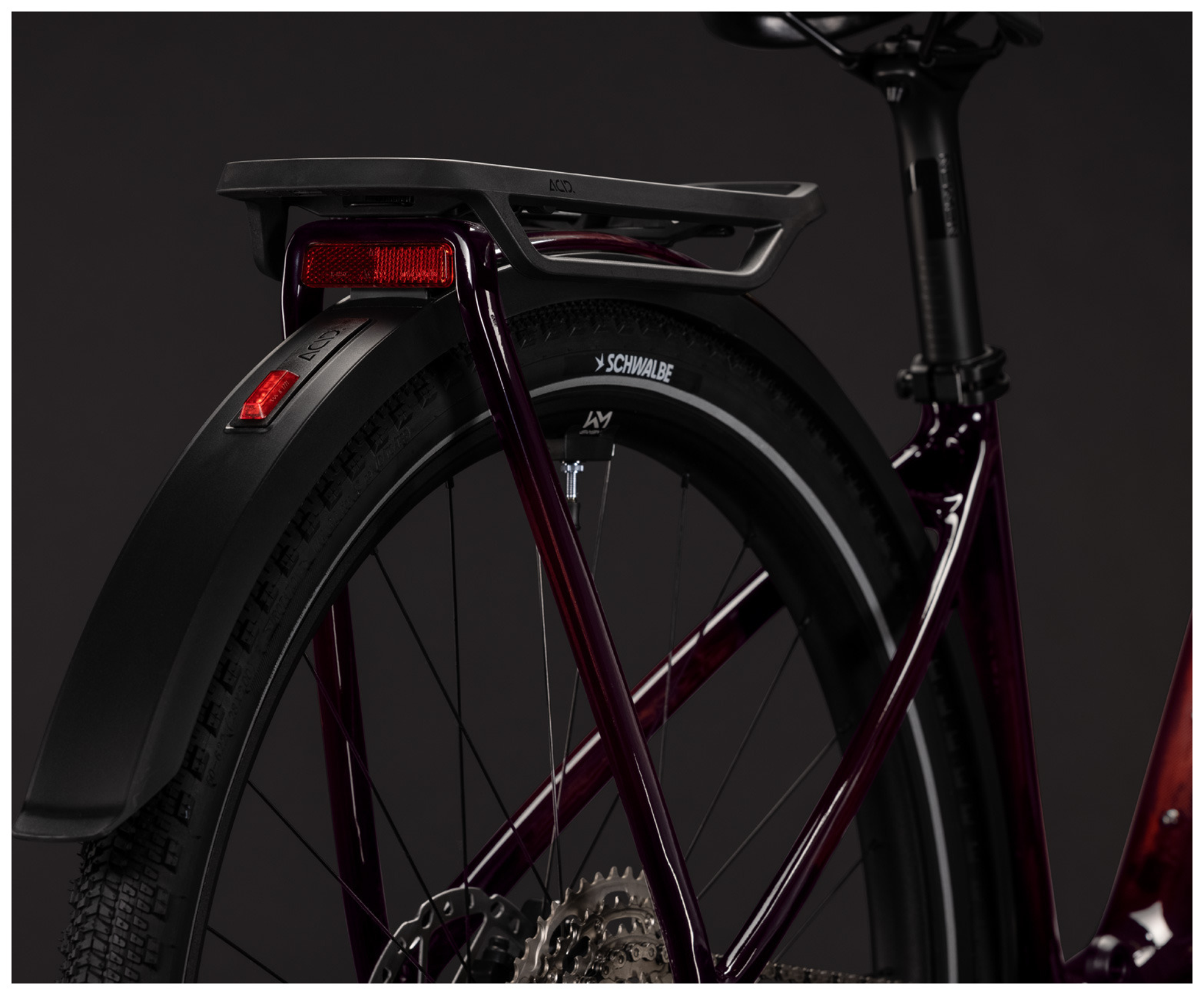 IMG1013166_100201
