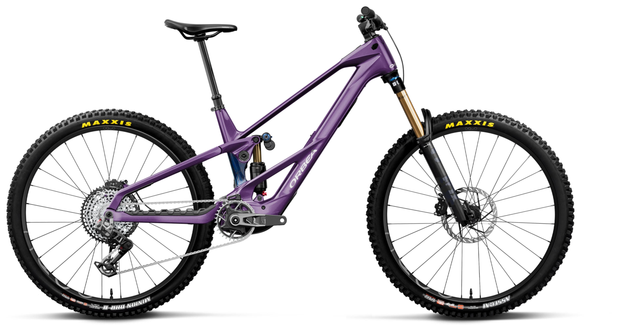 WILD LT M-TEAM RS