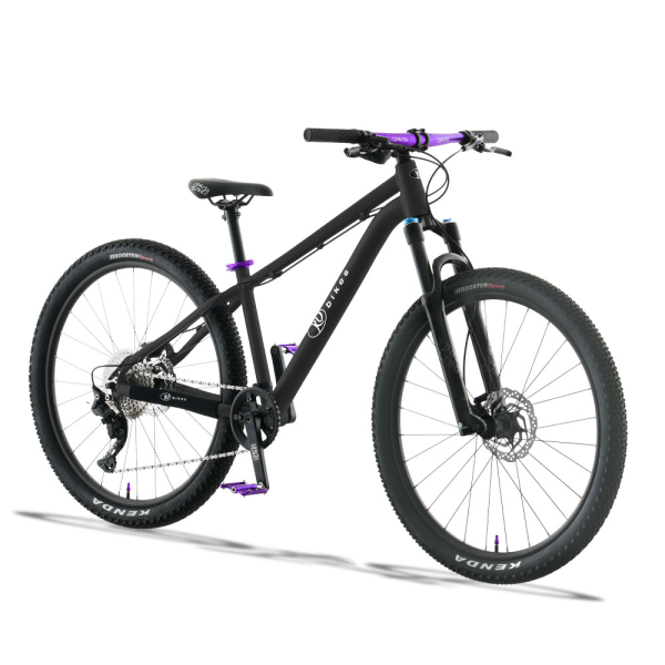 26 MTB Disc