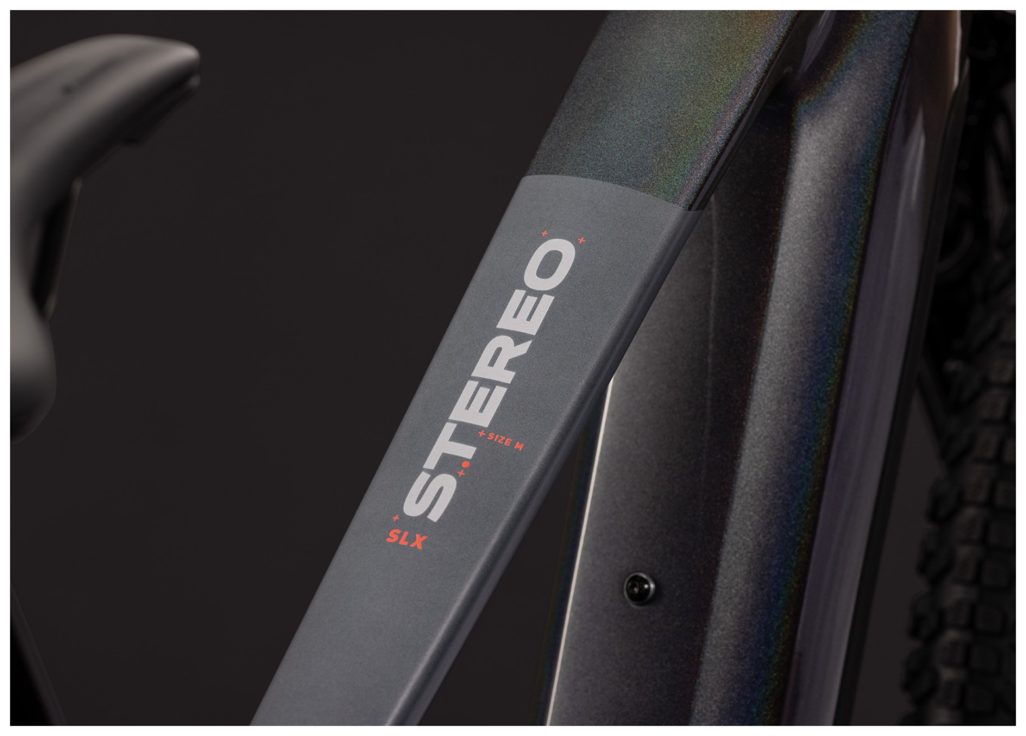 IMG1016494_108700